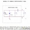 Simple photovoltaic cell